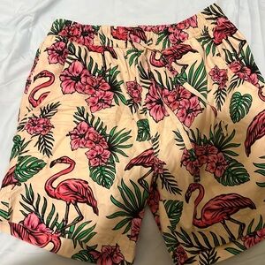 MASSIVE shorts